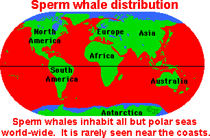Spermwhdist.gif (4469 bytes)